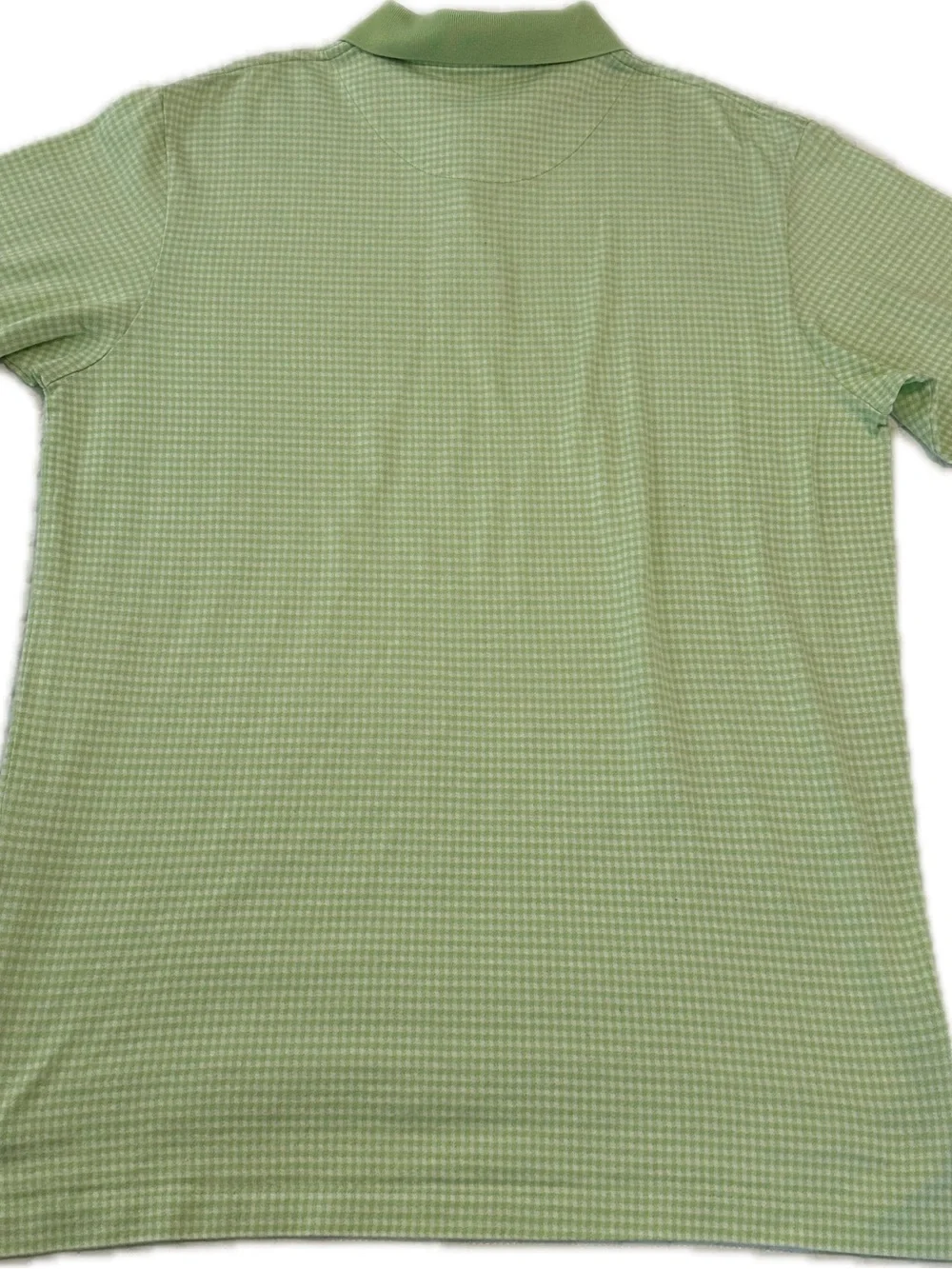 Ralph Lauren Light Green Pattern Polo Shirt